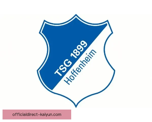 霍芬海姆球队结构解析：年轻化阵容与高位逼抢体系持续提升